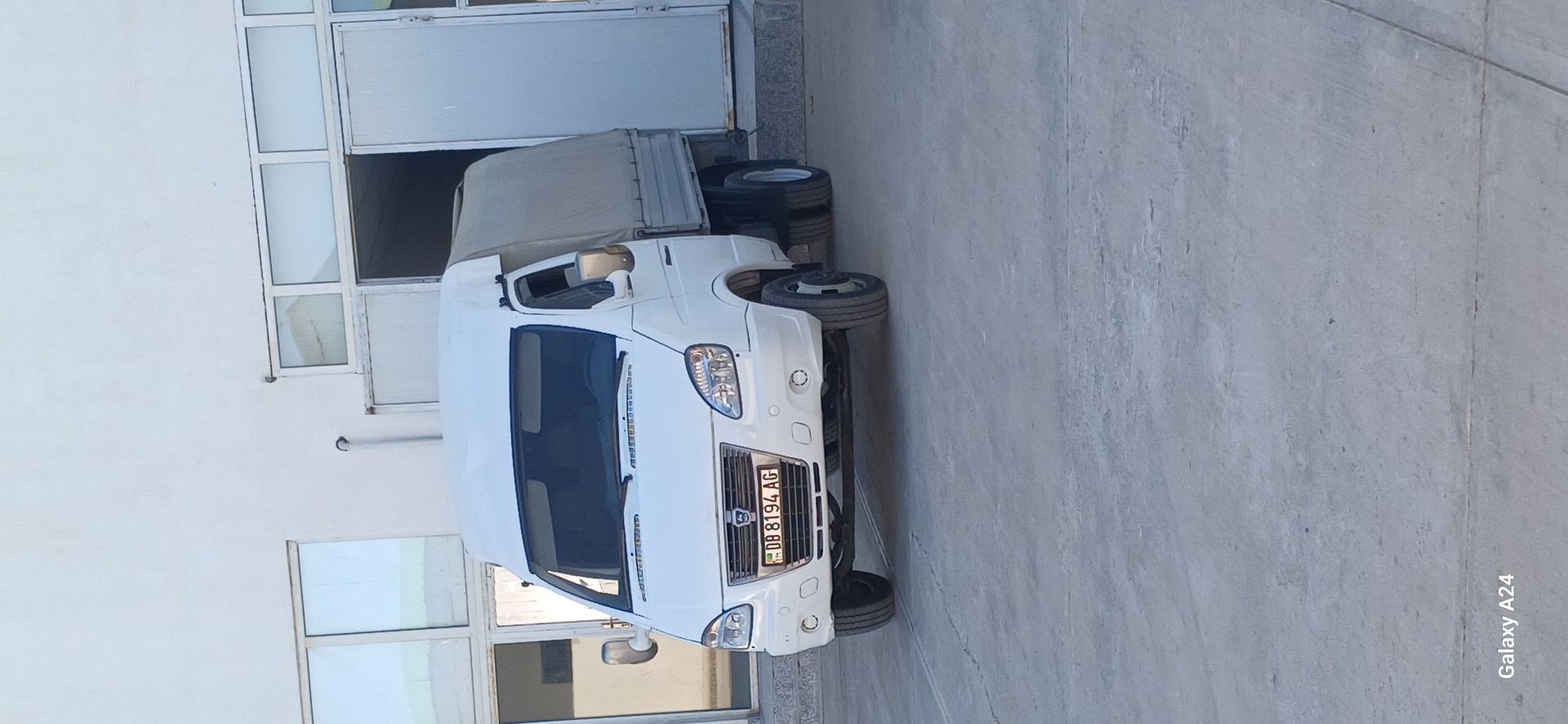 Alty Gazel