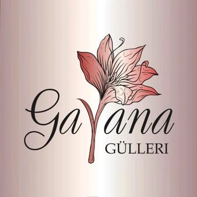Gaýana Gülleri