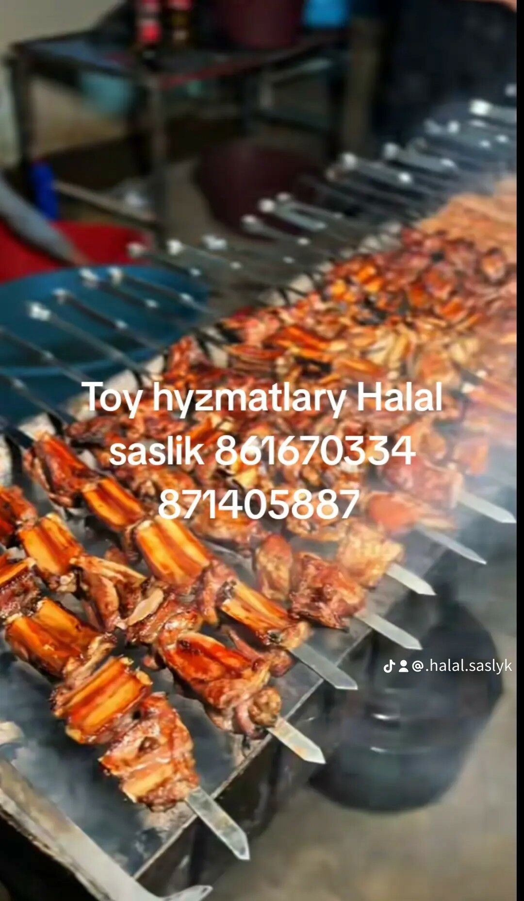 Toyly saslik mangal